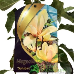 Front Page -Wolf-Garten Shop 0000000435158 2