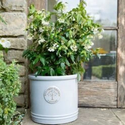 Woodlodge 38cm White / Cream Glazed Heritage Cylinder Pot 6 Woodlodge 38cm White / Cream Glazed Heritage Cylinder Pot -Wolf-Garten Shop 5021346424430