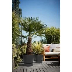 Elho 25cm Living Black Greenville Round Planter -Wolf-Garten Shop 8711904332334 5